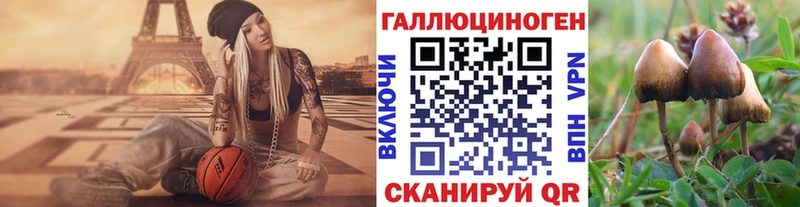 Галлюциногенные грибы Cubensis  дарнет шоп  Нарткала 